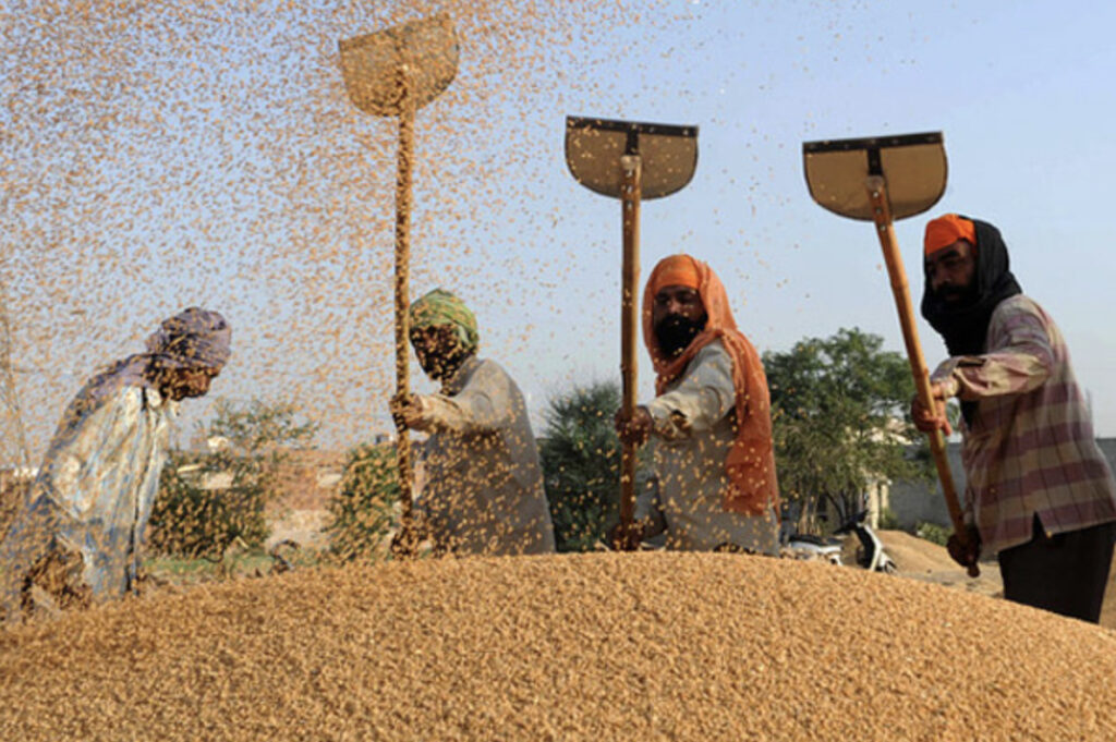 World's Largest Grain Storage will be in India